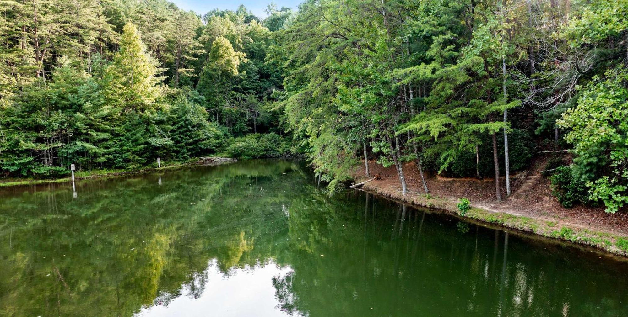 Lakeside Retreat Hot Tub Fishing Hiking Ellijay Bagian luar foto